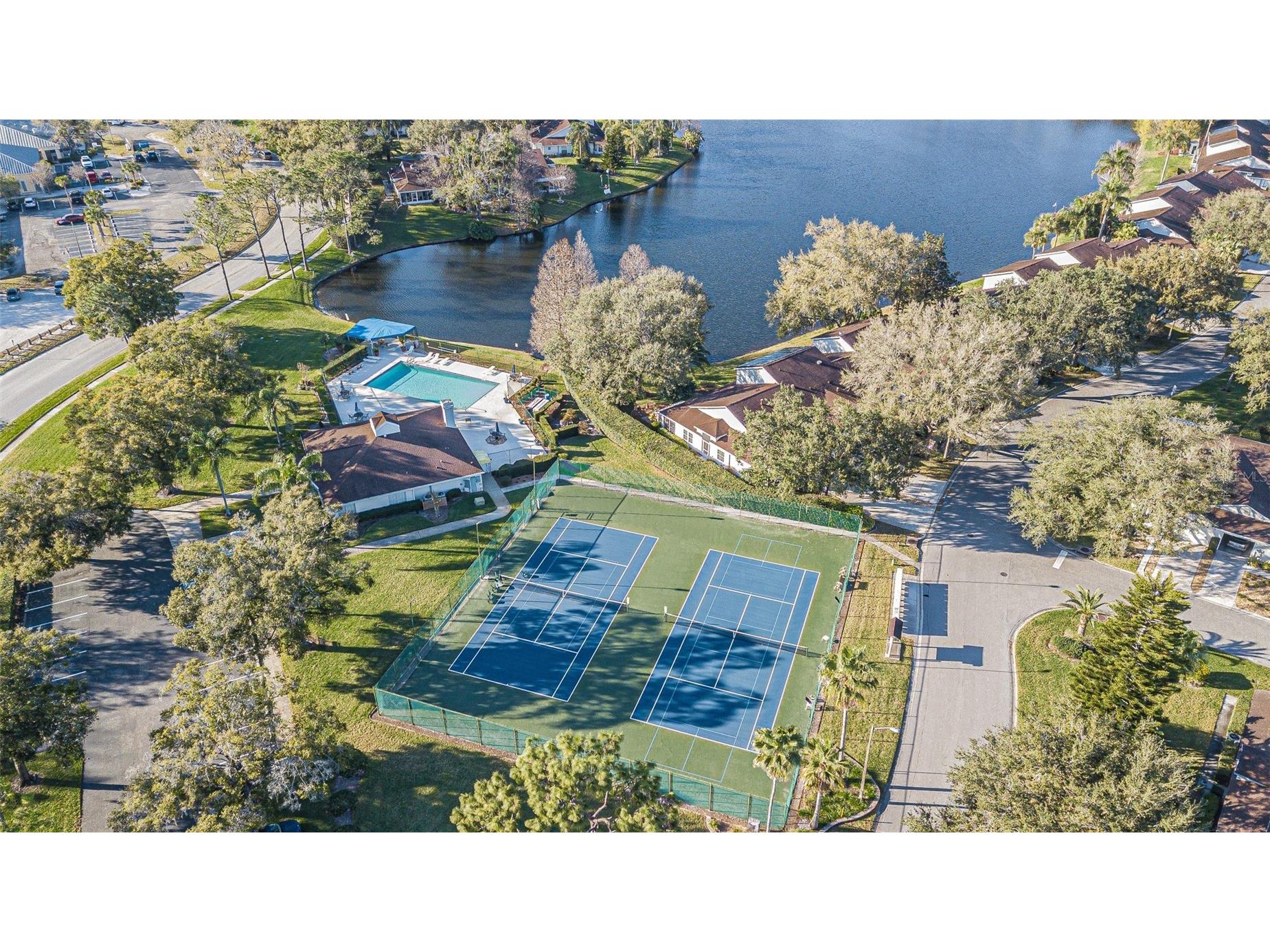 21542 Clubside Loop Lutz FL 33549 TB8528358 image41