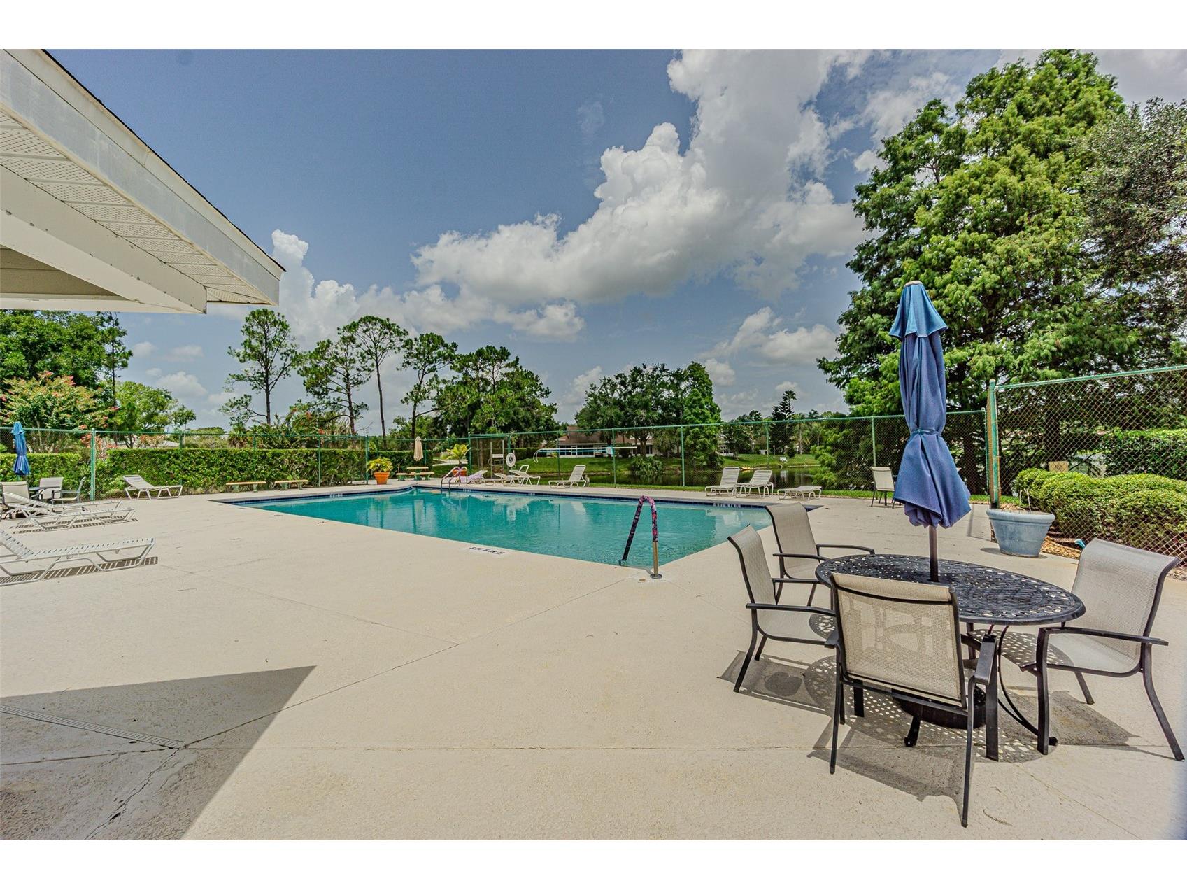 21542 Clubside Loop Lutz FL 33549 TB8528358 image43