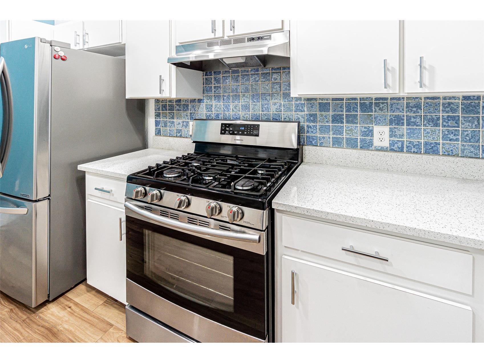 21542 Clubside Loop Lutz FL 33549 TB8528358 image5