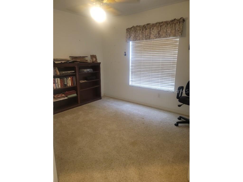 21544 Clubside Loop Lutz FL 33549 TB8400490 image8