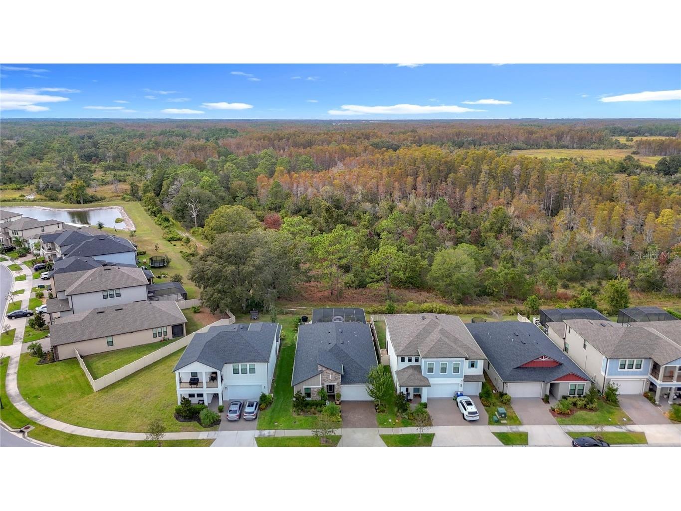 21548 Violet Periwinkle Drive Land O Lakes FL 34637 TB8443248 image2