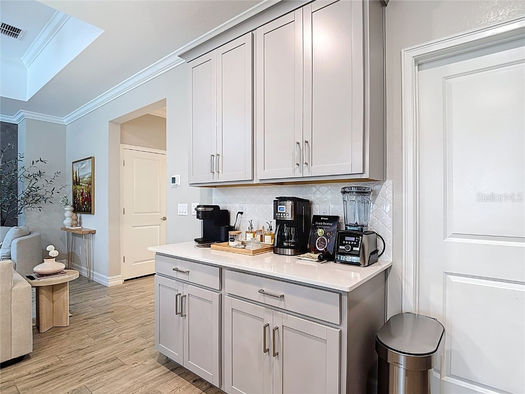 21548 Violet Periwinkle Drive Land O Lakes FL 34637 TB8443248 image20