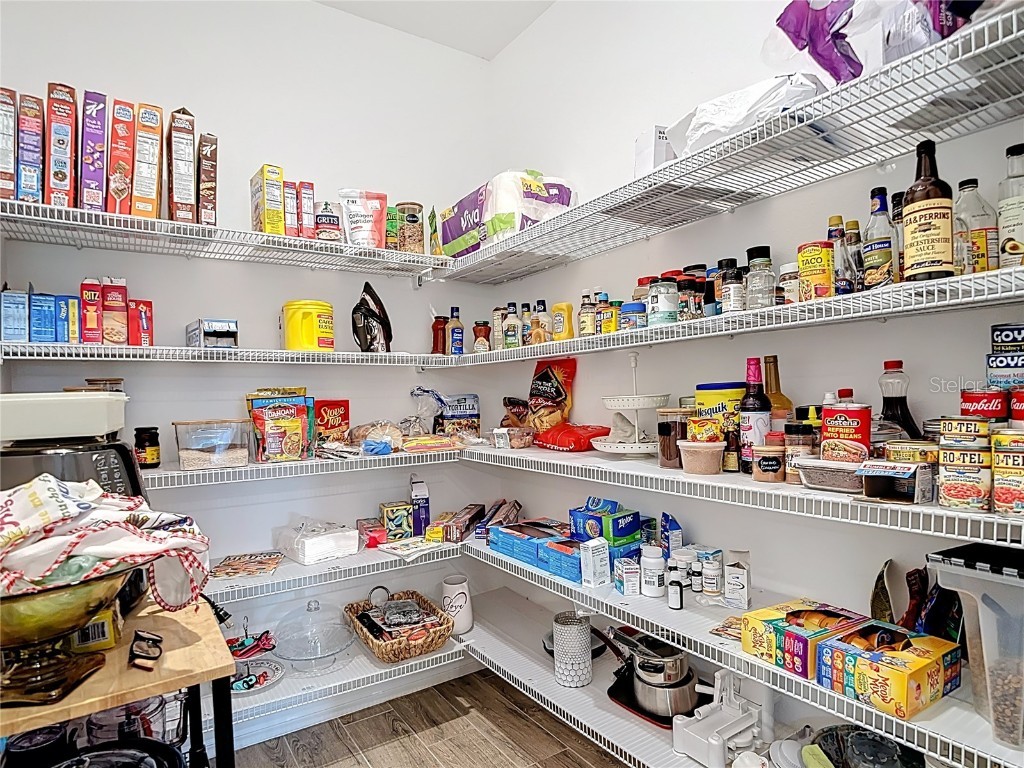 21548 Violet Periwinkle Drive Land O Lakes FL 34637 TB8443248 image21