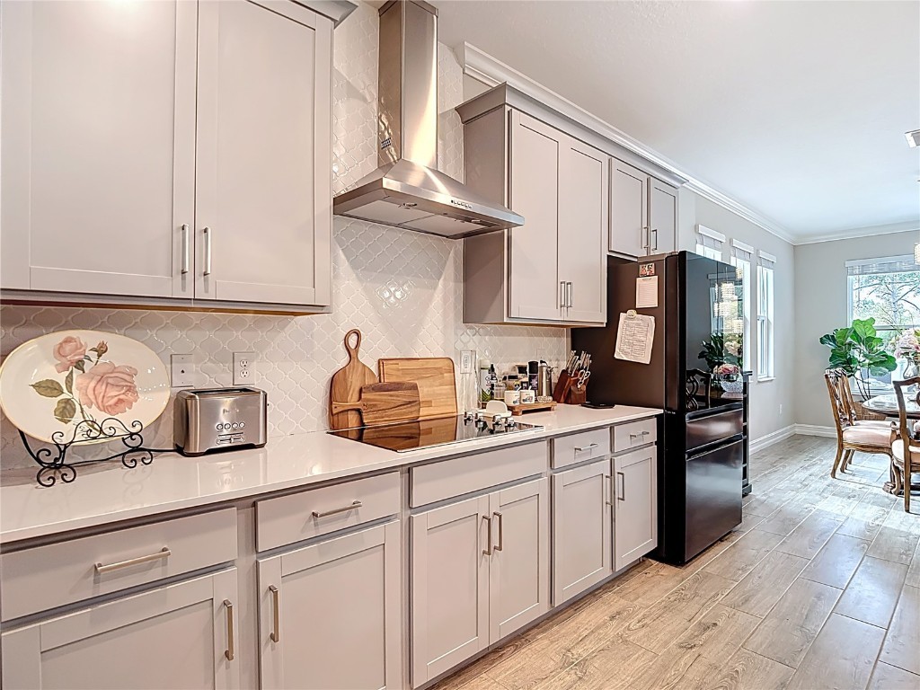 21548 Violet Periwinkle Drive Land O Lakes FL 34637 TB8443248 image23