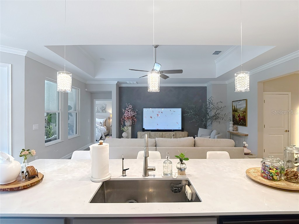 21548 Violet Periwinkle Drive Land O Lakes FL 34637 TB8443248 image26