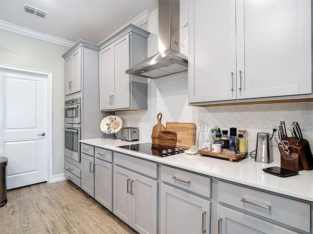 21548 Violet Periwinkle Drive Land O Lakes FL 34637 TB8443248 image27