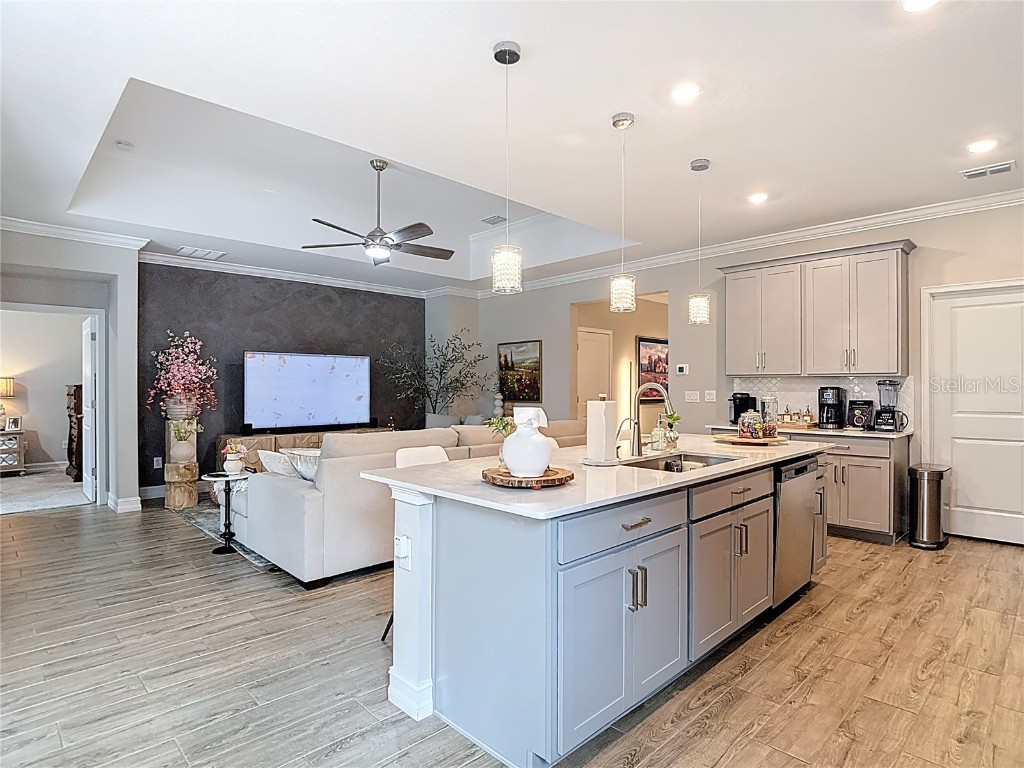 21548 Violet Periwinkle Drive Land O Lakes FL 34637 TB8443248 image30