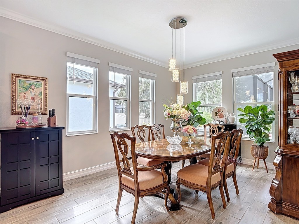 21548 Violet Periwinkle Drive Land O Lakes FL 34637 TB8443248 image31