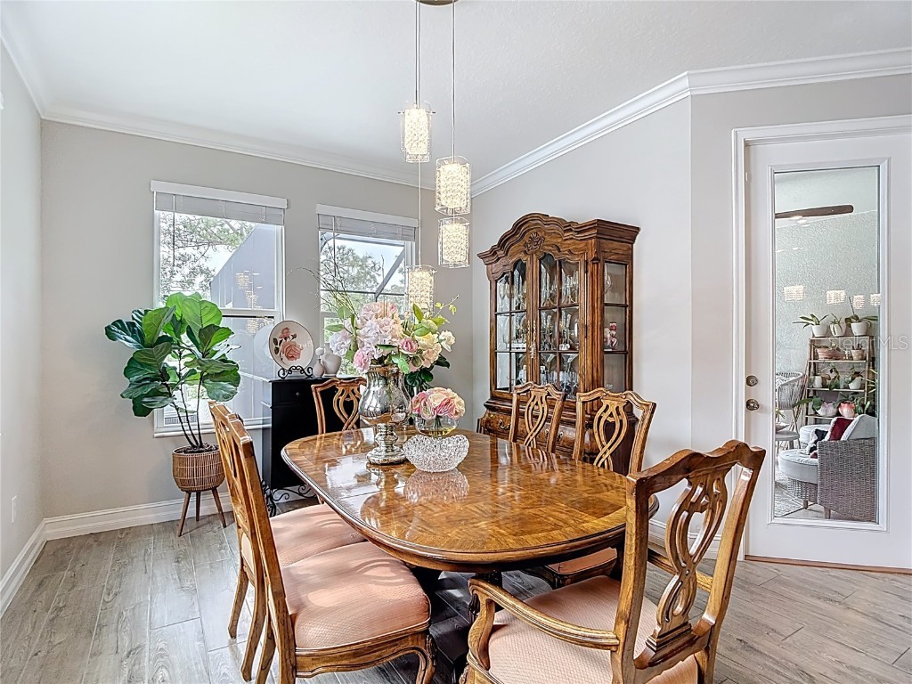 21548 Violet Periwinkle Drive Land O Lakes FL 34637 TB8443248 image32