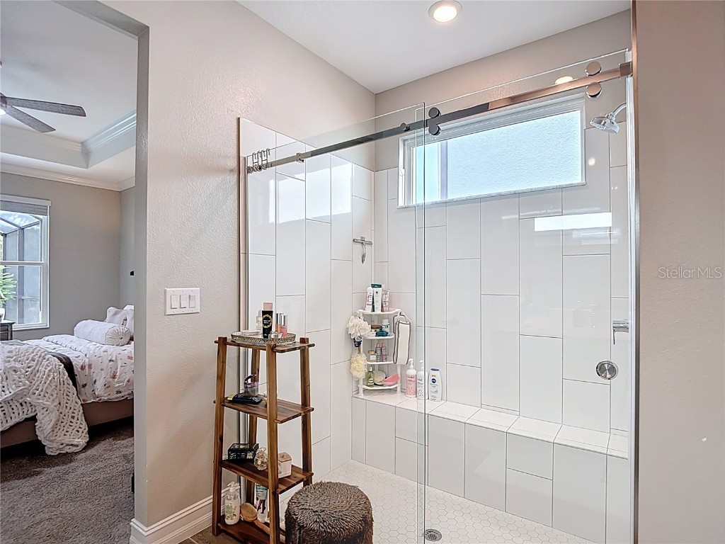 21548 Violet Periwinkle Drive Land O Lakes FL 34637 TB8443248 image61