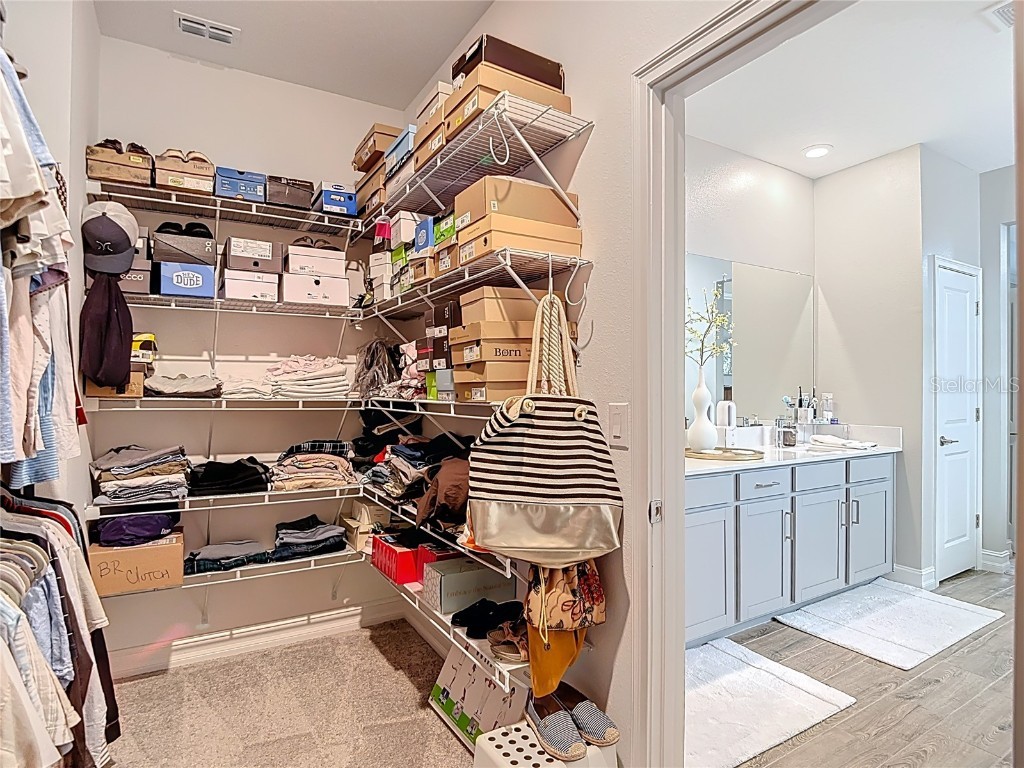 21548 Violet Periwinkle Drive Land O Lakes FL 34637 TB8443248 image63