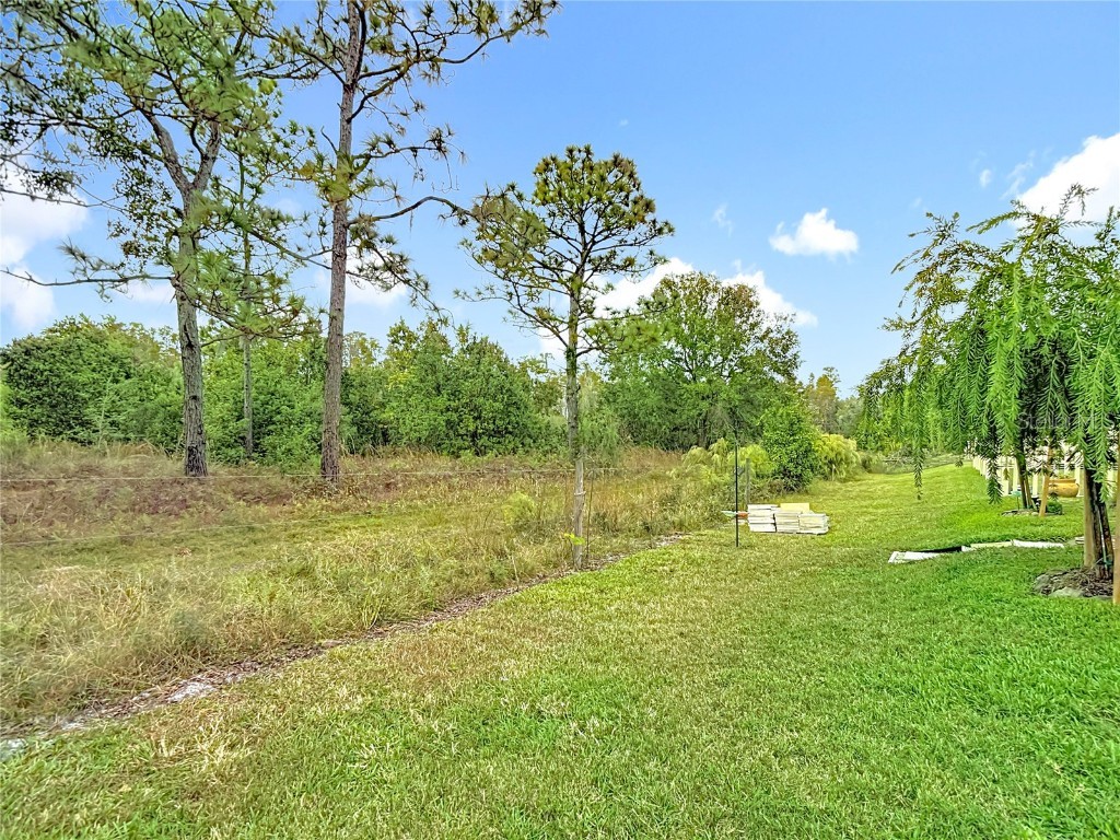 21548 Violet Periwinkle Drive Land O Lakes FL 34637 TB8443248 image79