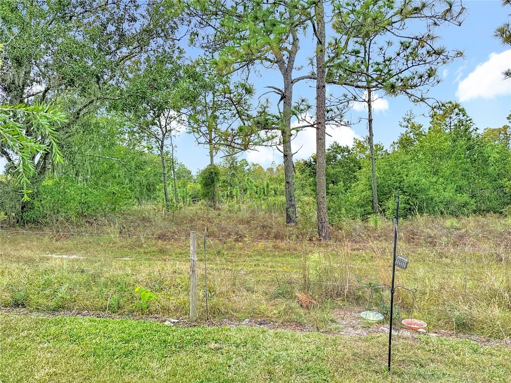 21548 Violet Periwinkle Drive Land O Lakes FL 34637 TB8443248 image80