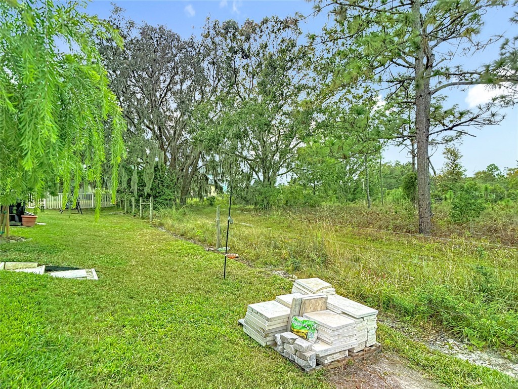 21548 Violet Periwinkle Drive Land O Lakes FL 34637 TB8443248 image81