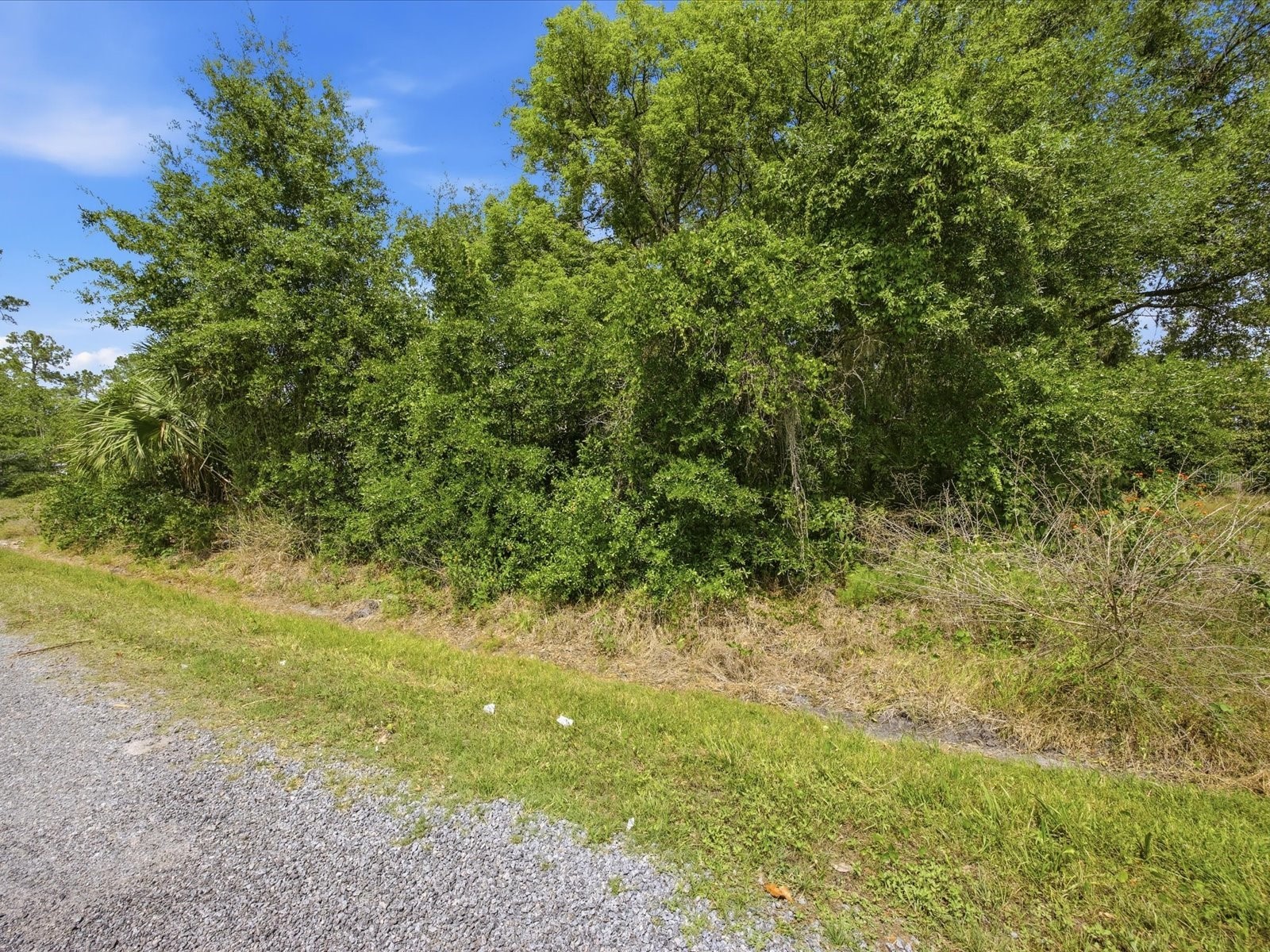 2155 5th Avenue Deland FL 32724 O6406119 image6