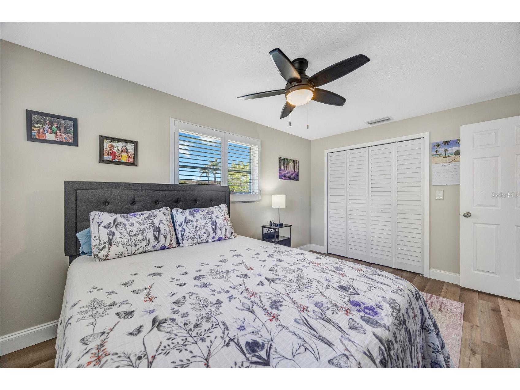 2155 Edythe Dr Dunedin FL 34698 TB8503445 image22