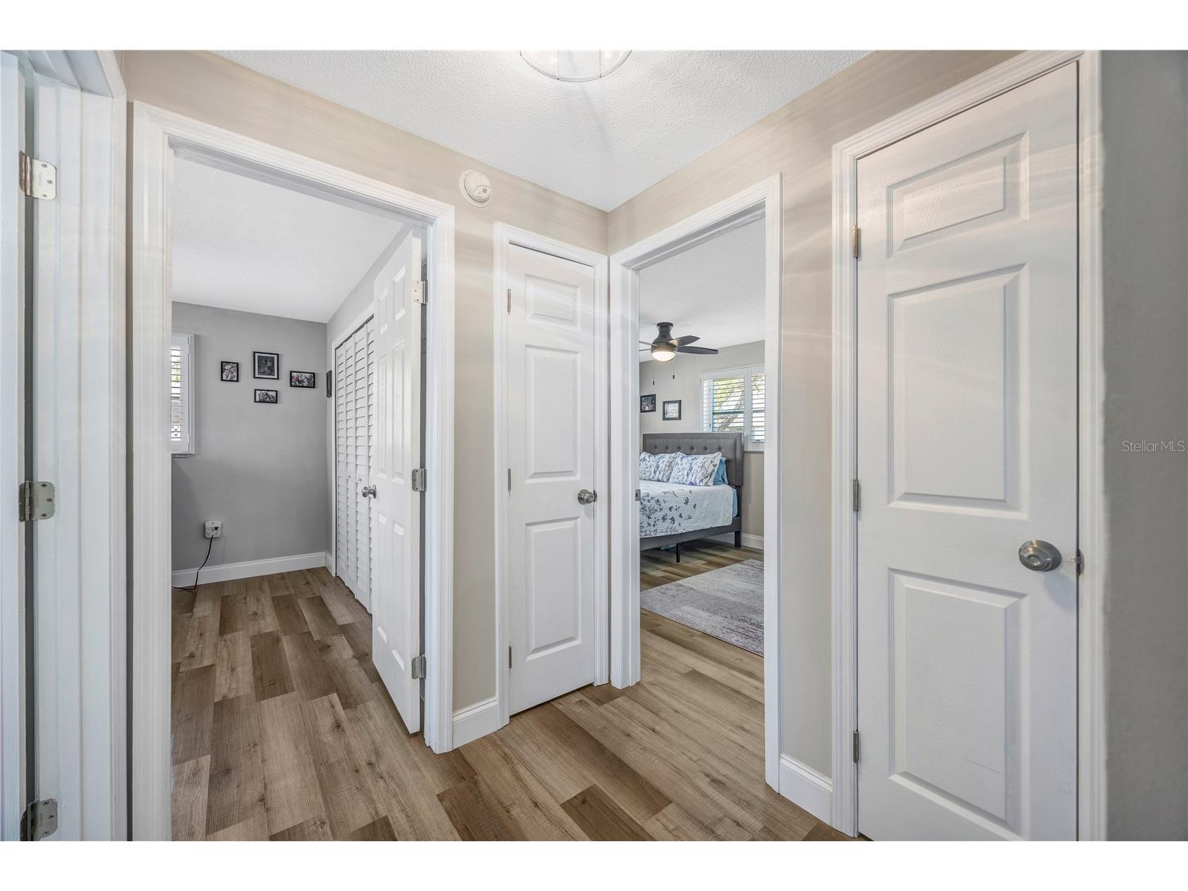 2155 Edythe Dr Dunedin FL 34698 TB8503445 image27