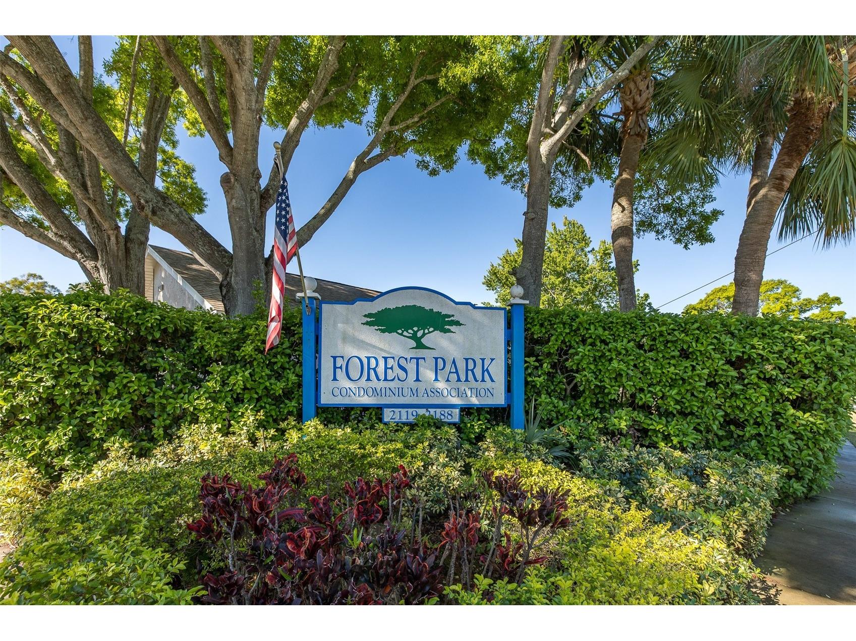 2155 Elm Street #707 Dunedin FL 34698 TB8489227 image2