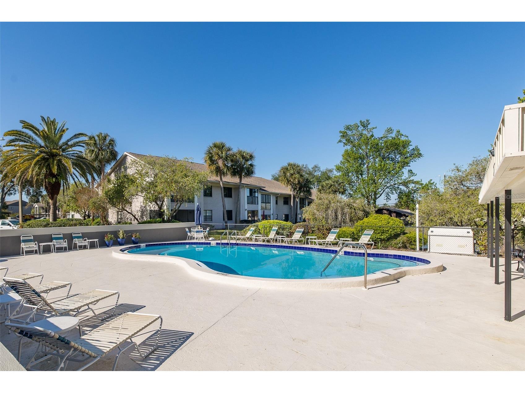 2155 Elm Street #707 Dunedin FL 34698 TB8489227 image25