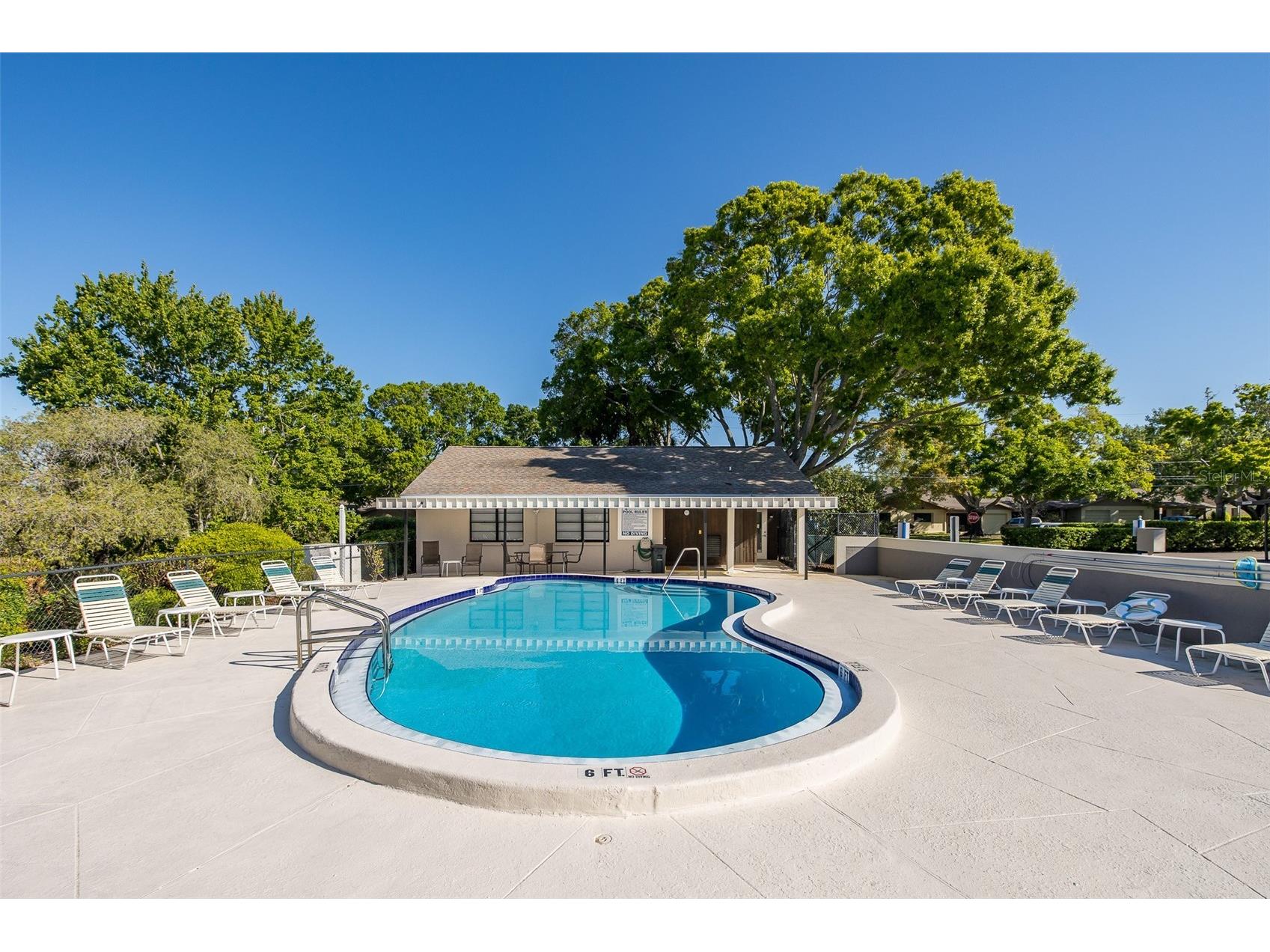 2155 Elm Street #707 Dunedin FL 34698 TB8489227 image26