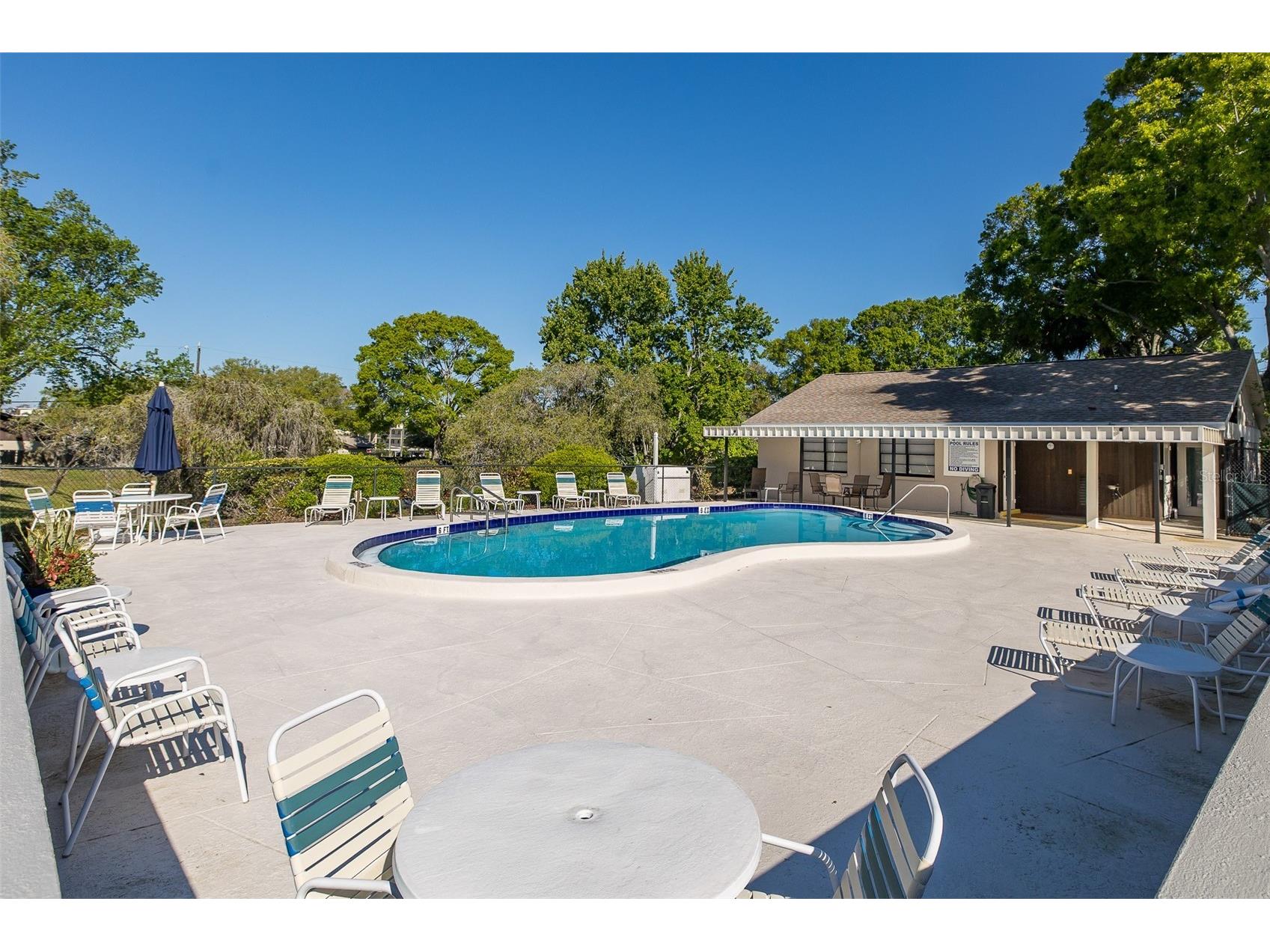 2155 Elm Street #707 Dunedin FL 34698 TB8489227 image27