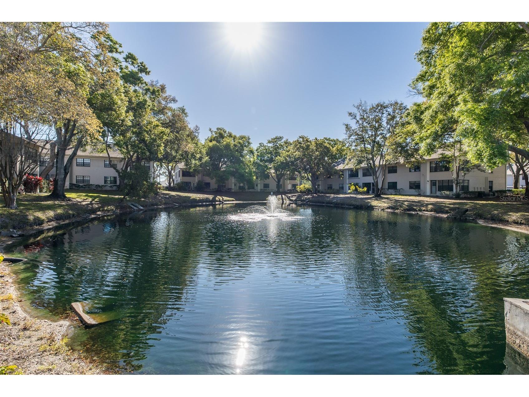 2155 Elm Street #707 Dunedin FL 34698 TB8489227 image28