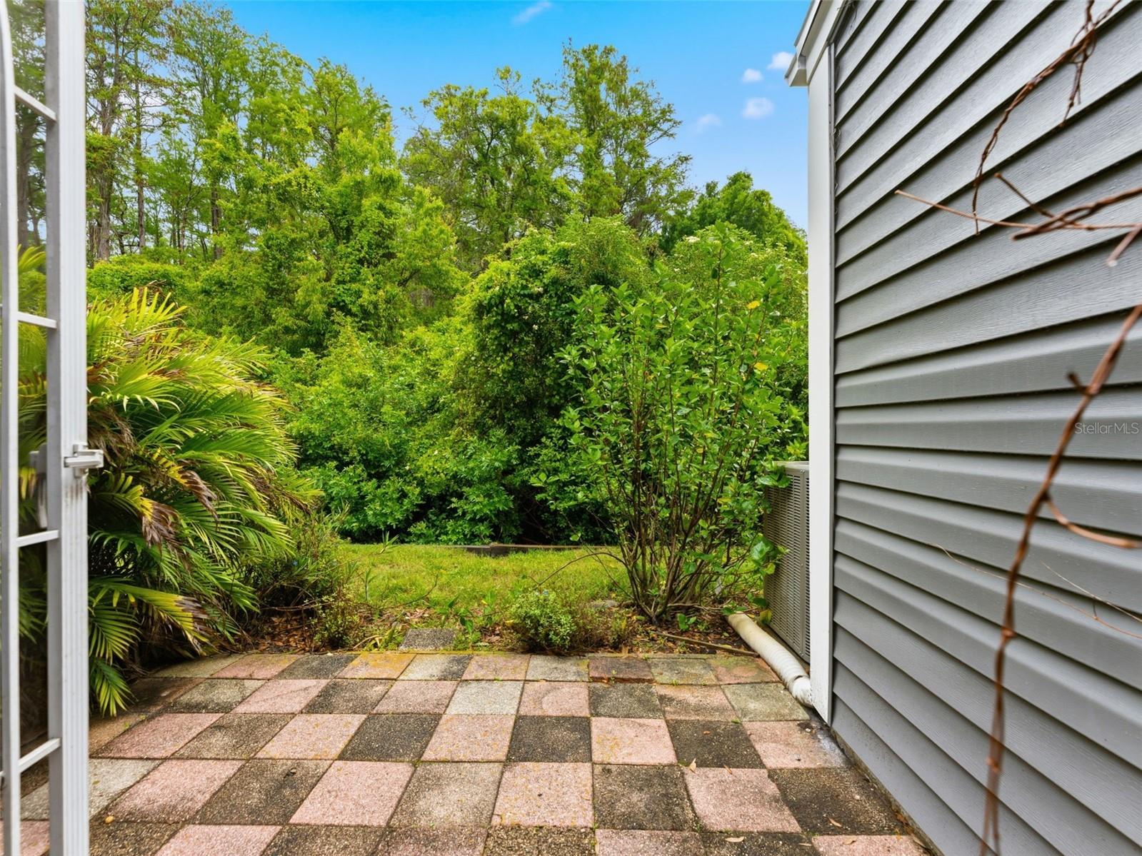 2155 Fox Chase Boulevard Palm Harbor FL 34683 TB8493718 image29