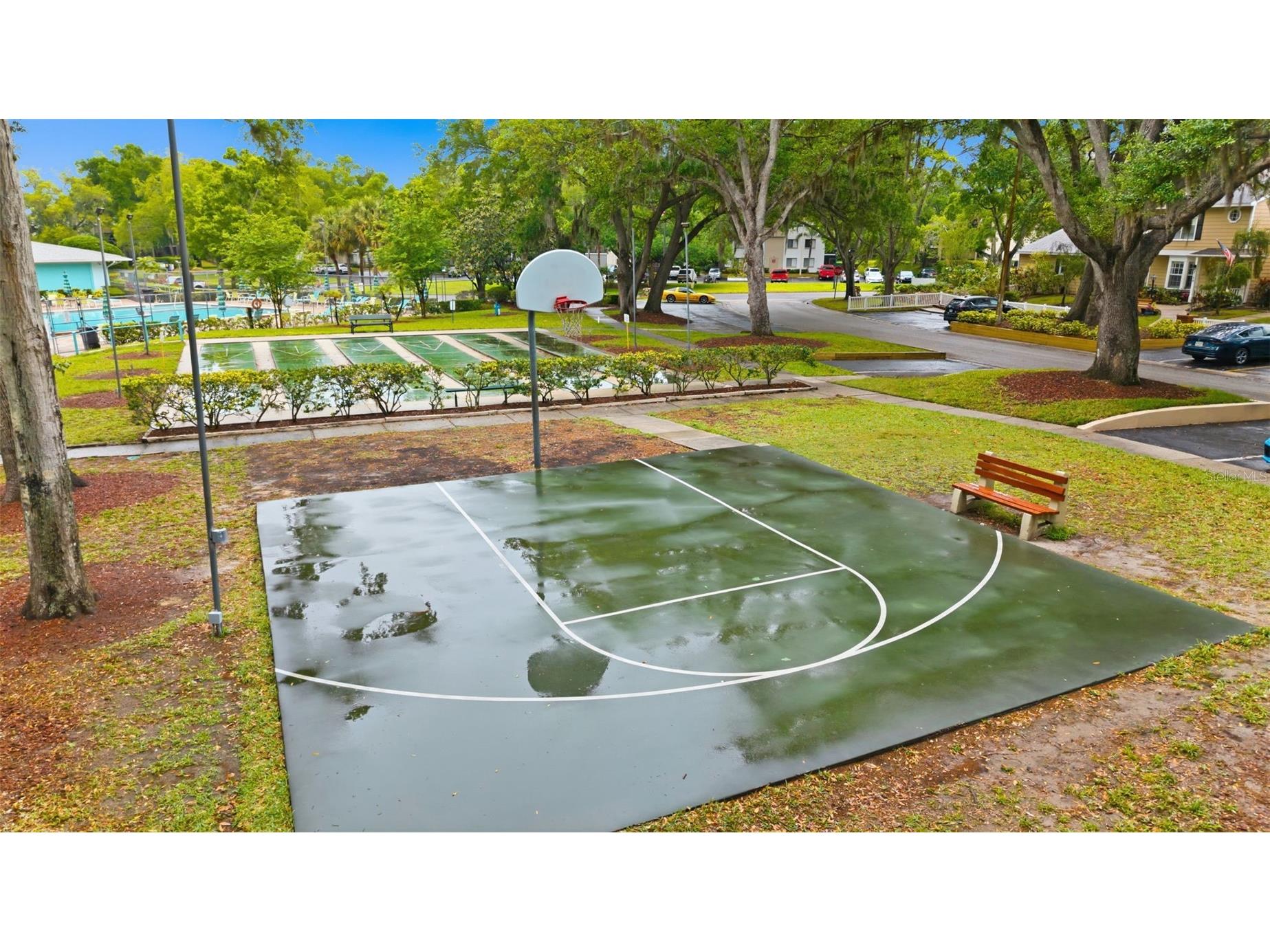 2155 Fox Chase Boulevard Palm Harbor FL 34683 TB8493718 image35
