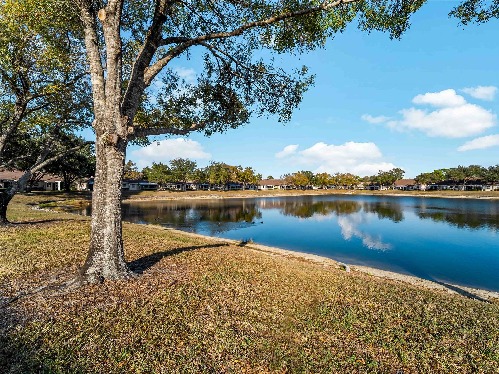 2155 Lynx Run North Port FL 34288 C7521844 image40