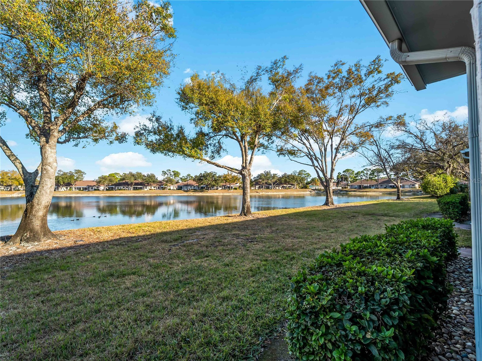 2155 Lynx Run North Port FL 34288 C7521844 image42