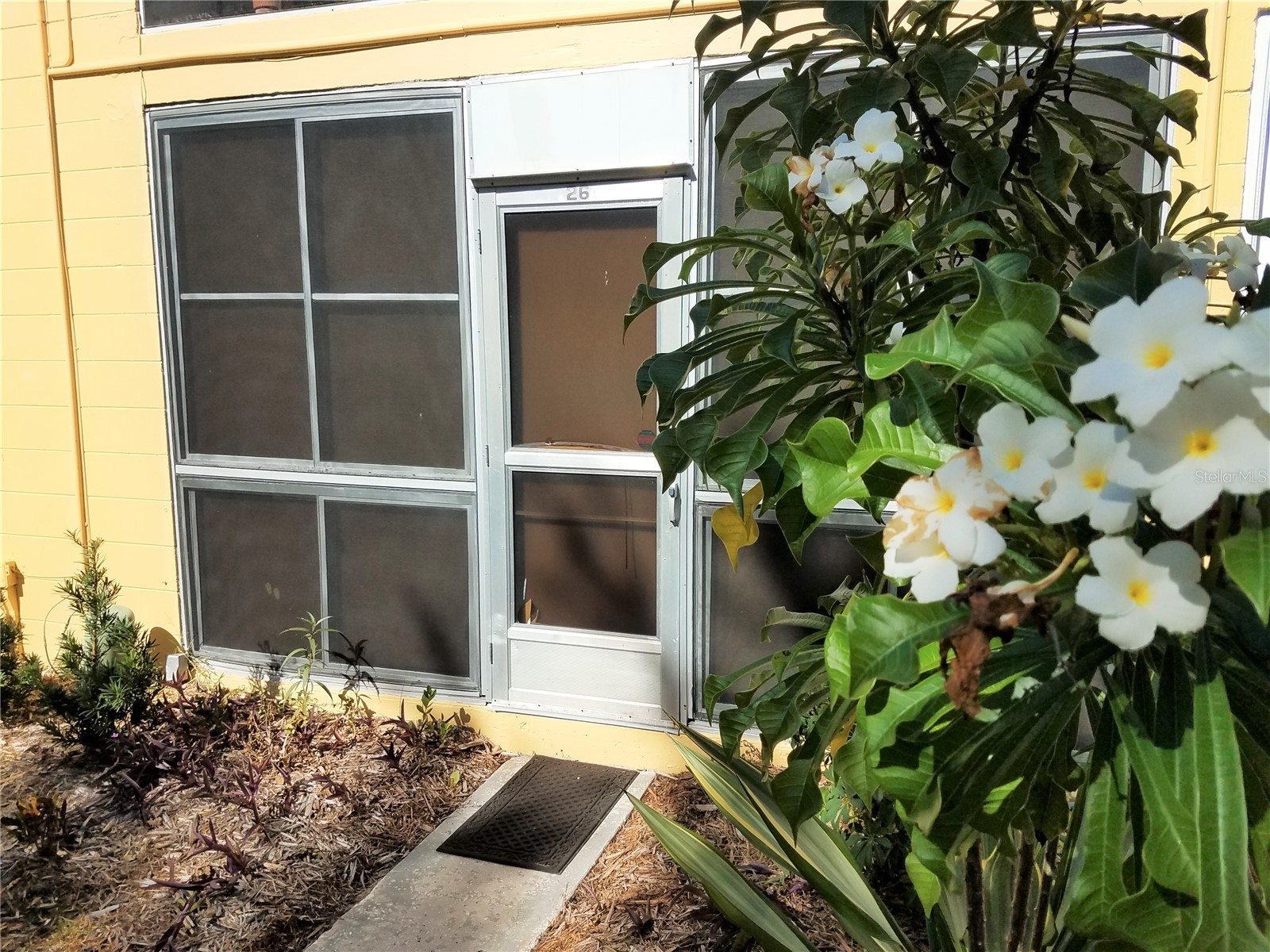 2155 Wood Street #A26 Sarasota FL 34237 A4655677 image23