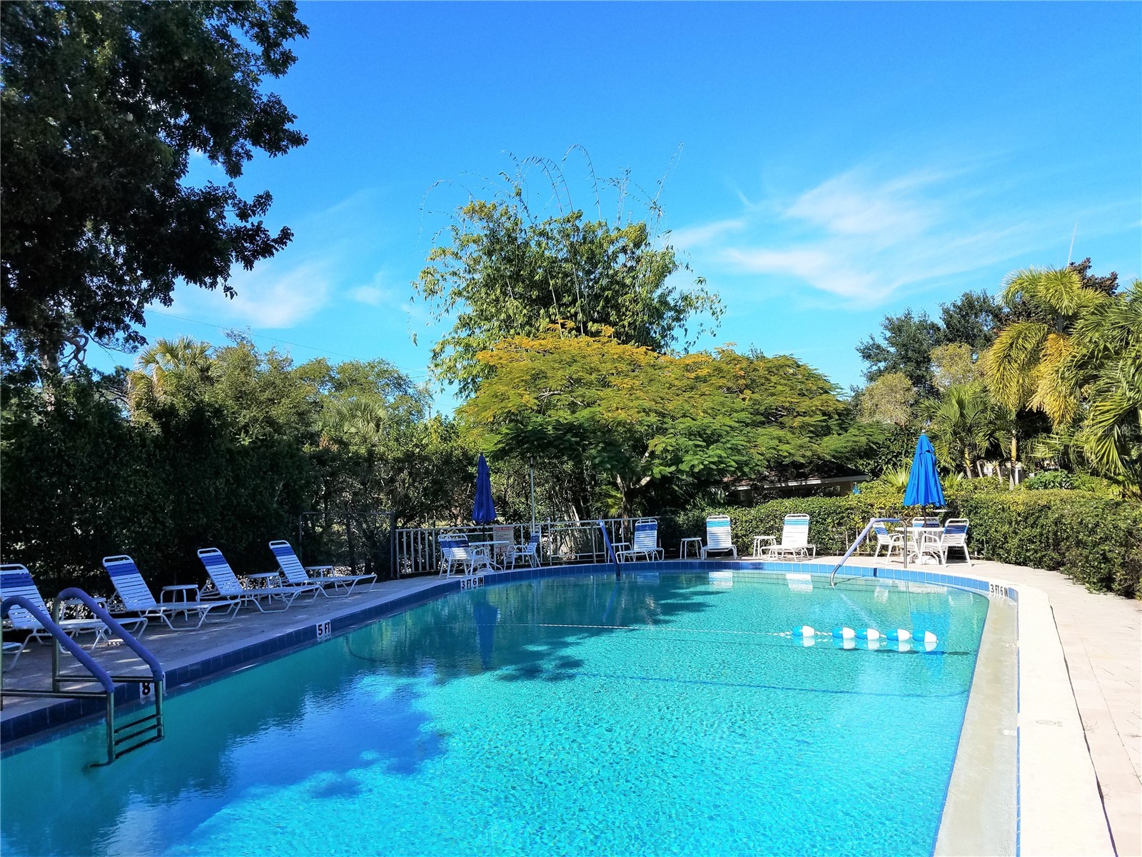 2155 Wood Street #A26 Sarasota FL 34237 A4655677 image27