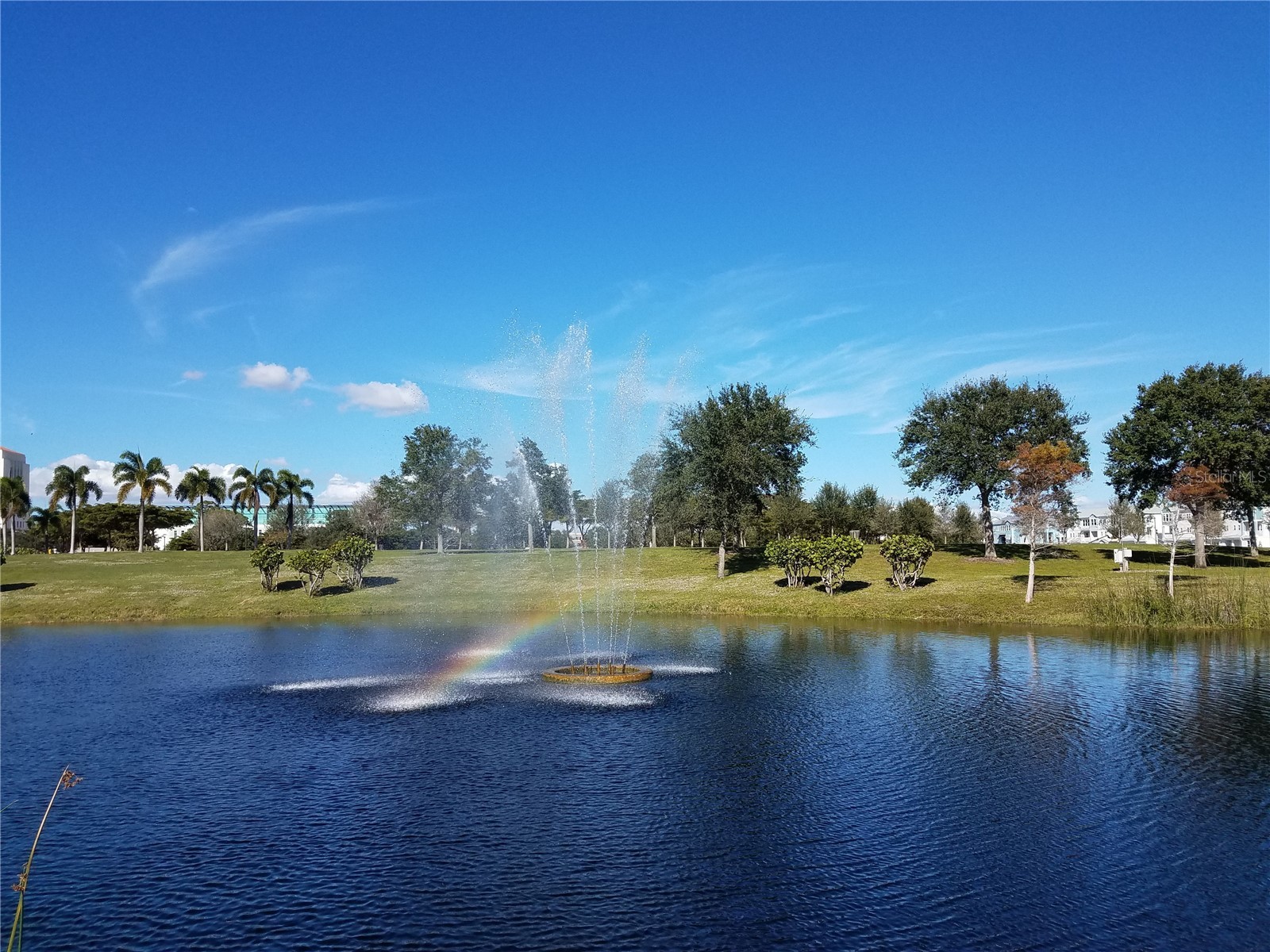 2155 Wood Street #A26 Sarasota FL 34237 A4655677 image34