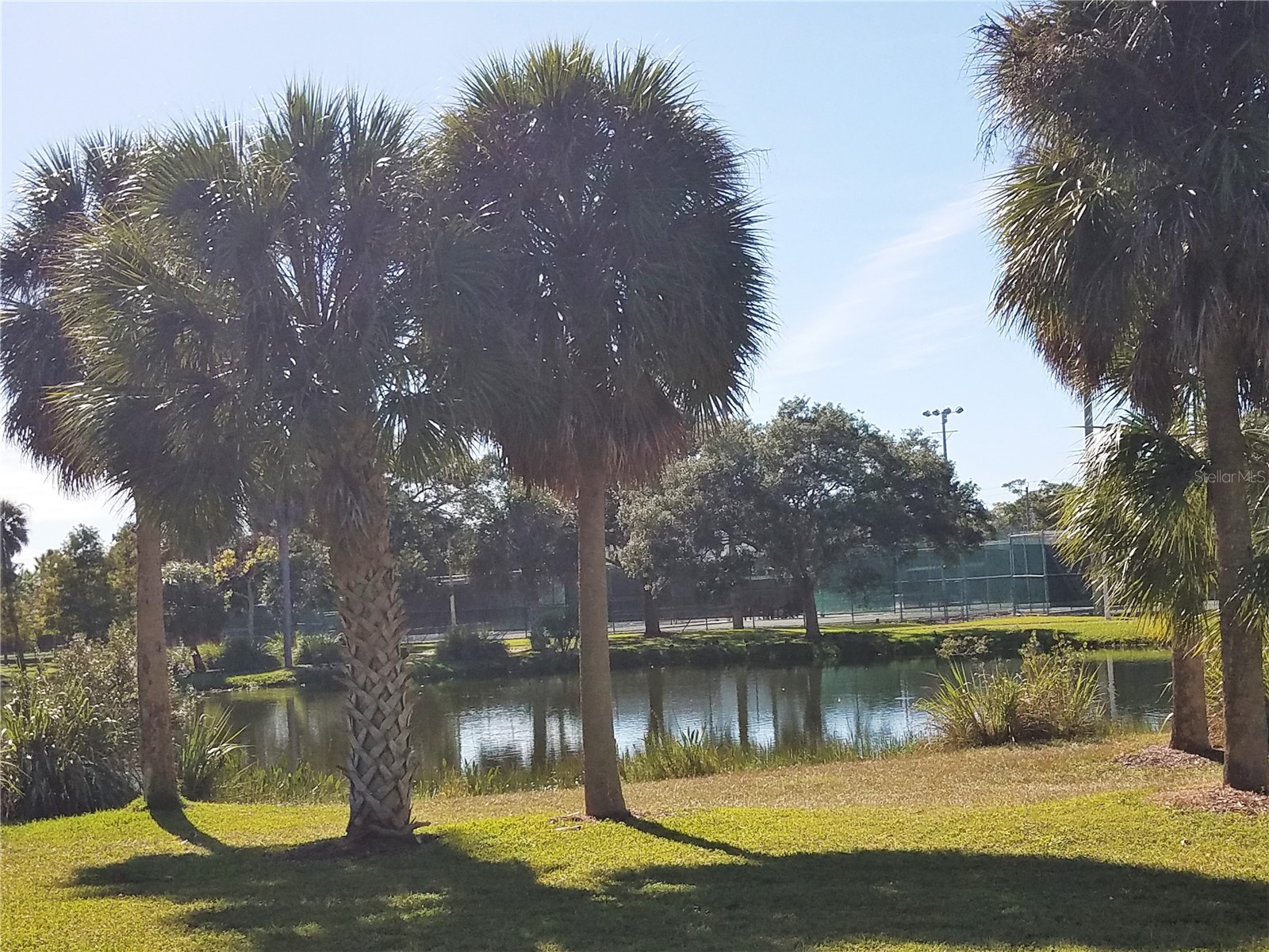 2155 Wood Street #A26 Sarasota FL 34237 A4655677 image36