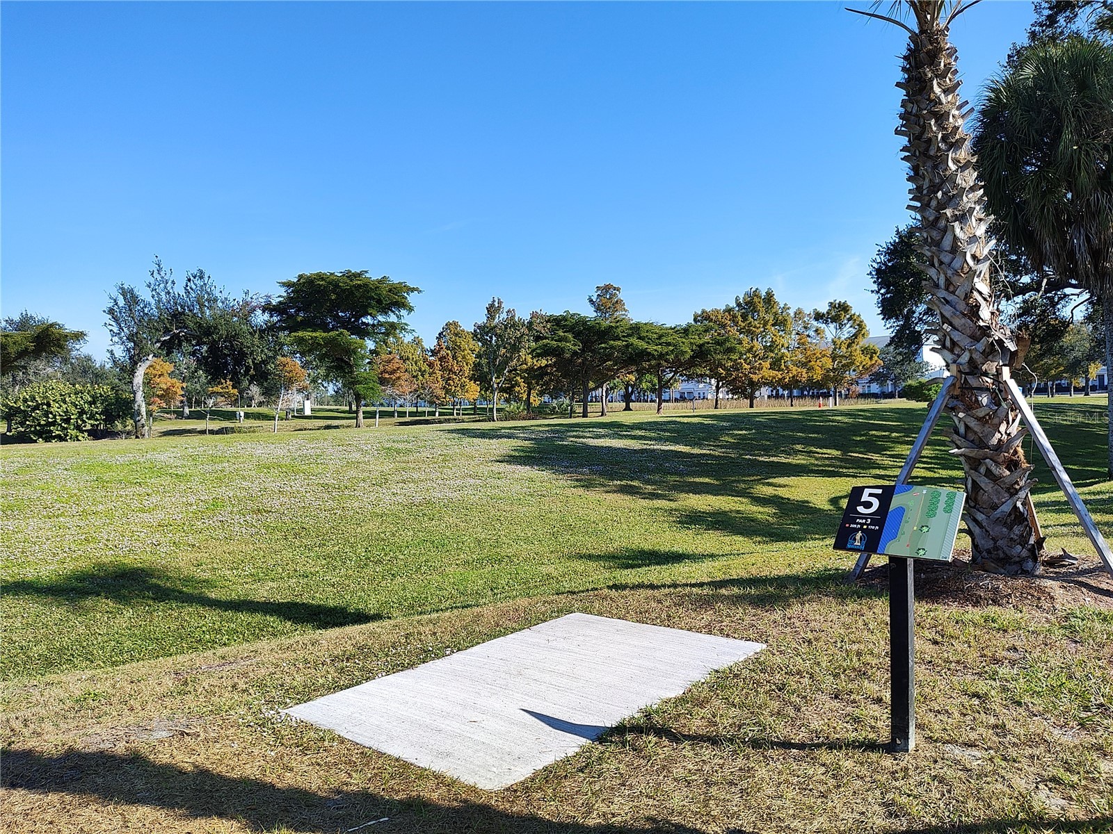 2155 Wood Street #A26 Sarasota FL 34237 A4655677 image43