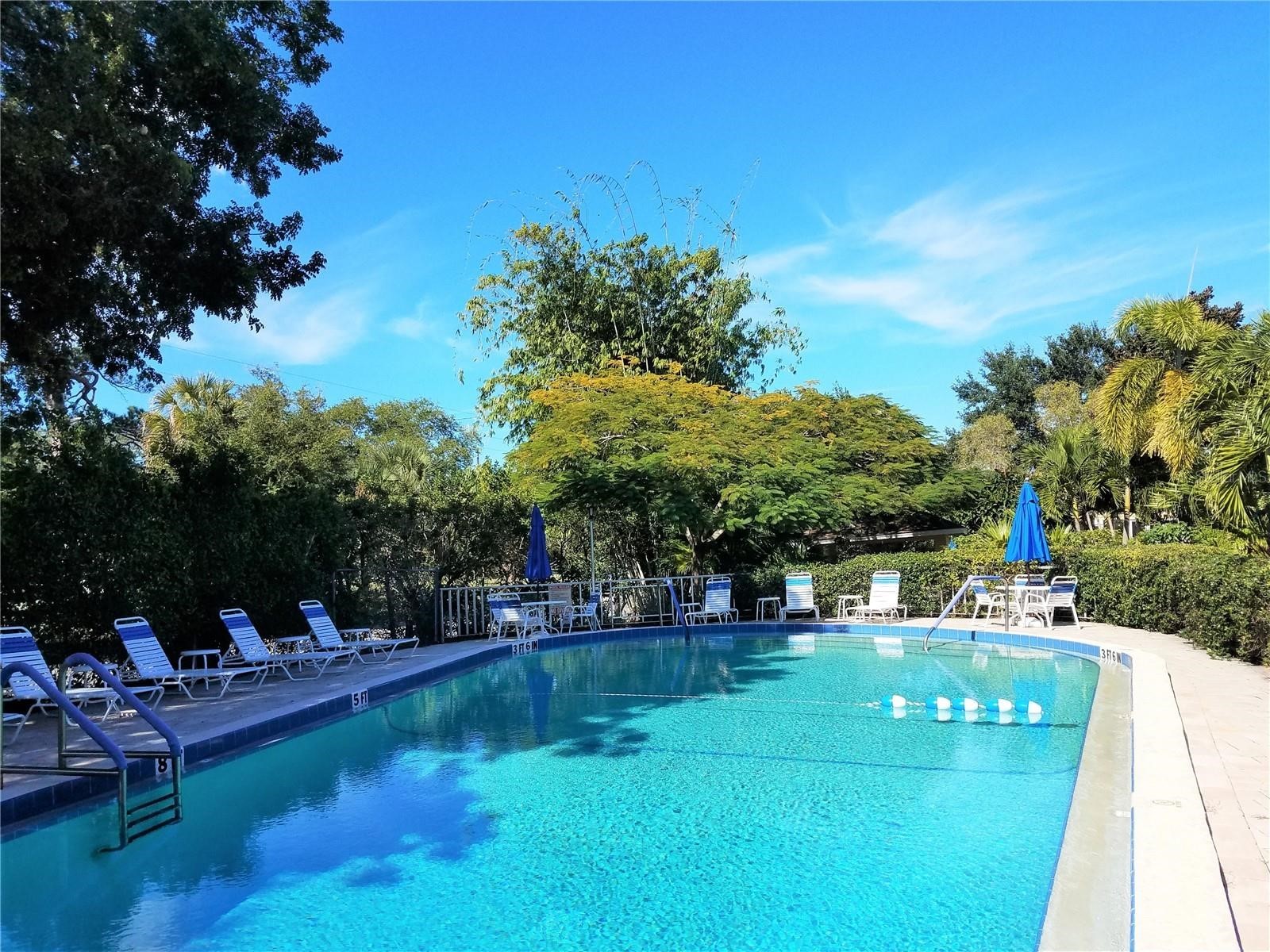 2155 Wood Street #A26 Sarasota FL 34237 A4700899 image24