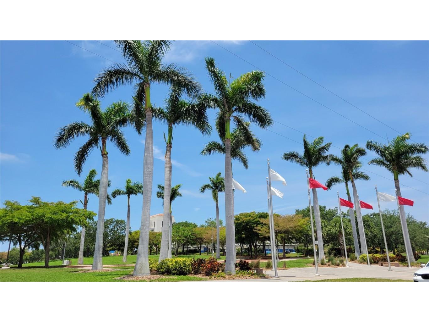 2155 Wood Street #B17 Sarasota FL 34237 A4653487 image28