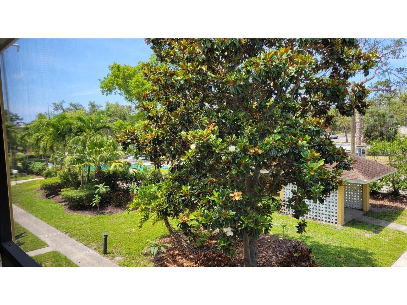 2155 Wood Street #B17 Sarasota FL 34237 A4653487 image7