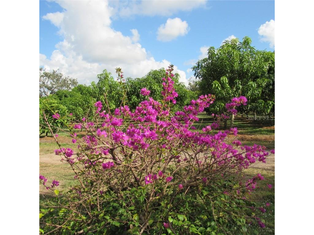 21552 E State Road 64 Bradenton FL 34212 A4671420 image38