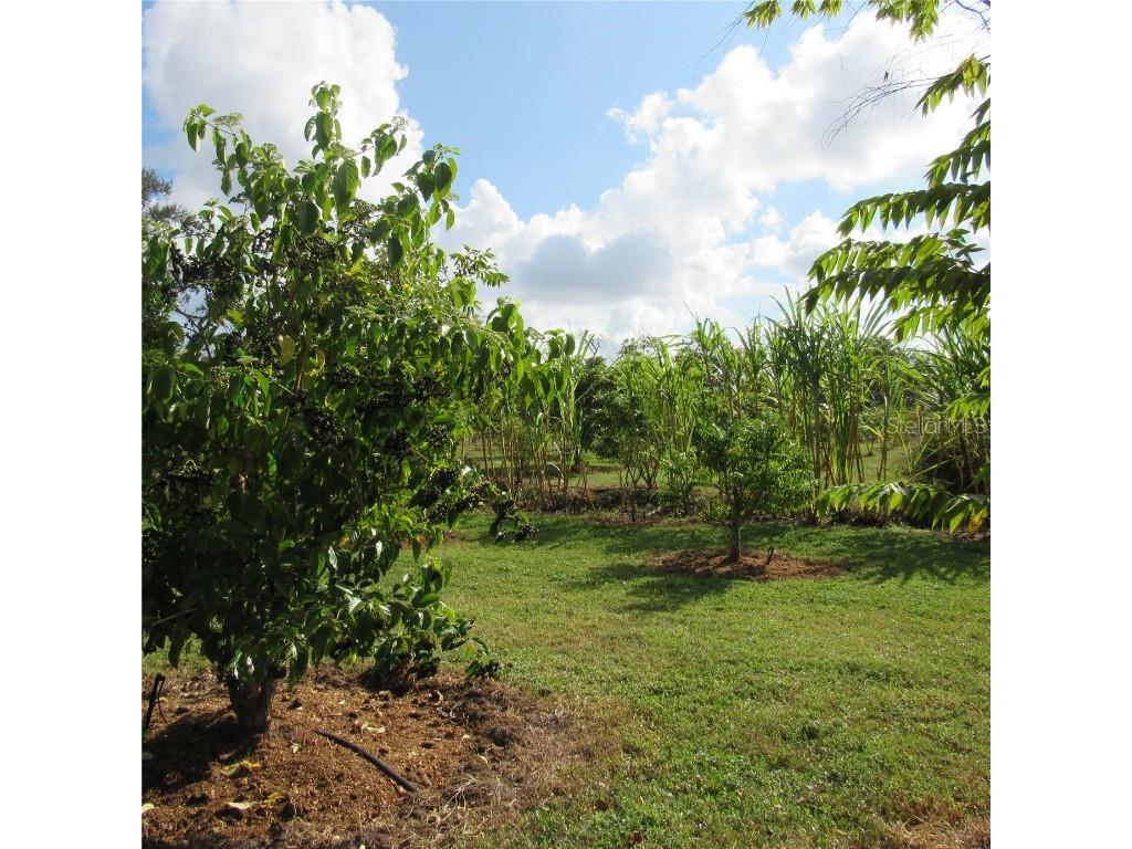 21552 E State Road 64 Bradenton FL 34212 A4671420 image40