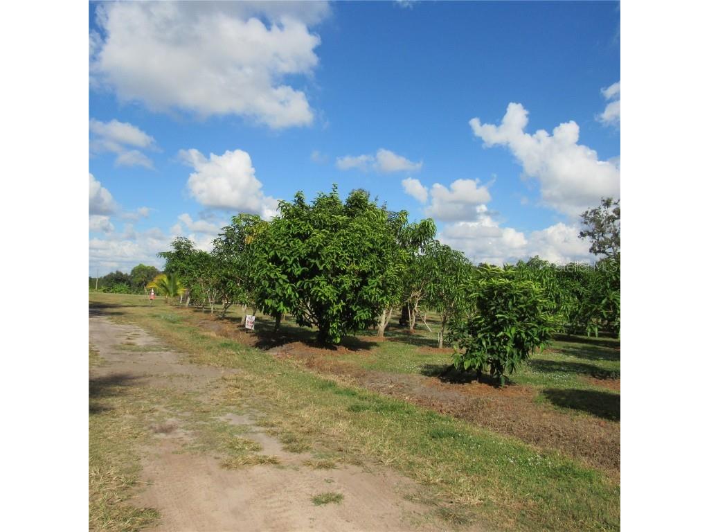 21552 E State Road 64 Bradenton FL 34212 A4671420 image51