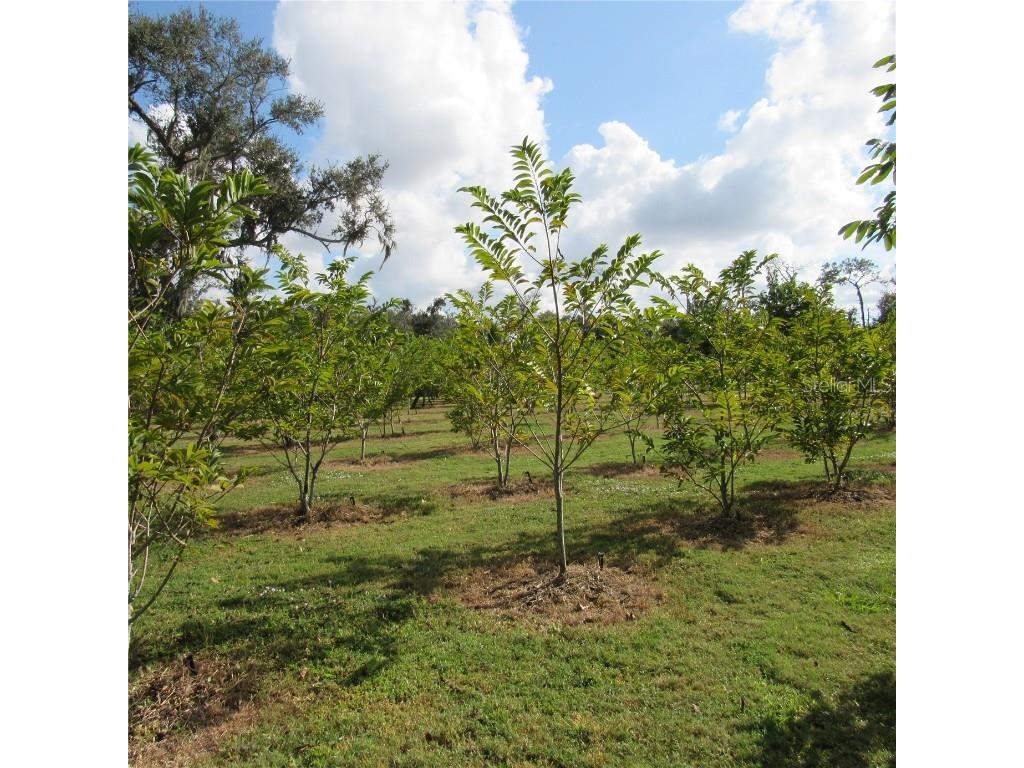 21552 E State Road 64 Bradenton FL 34212 A4671420 image61