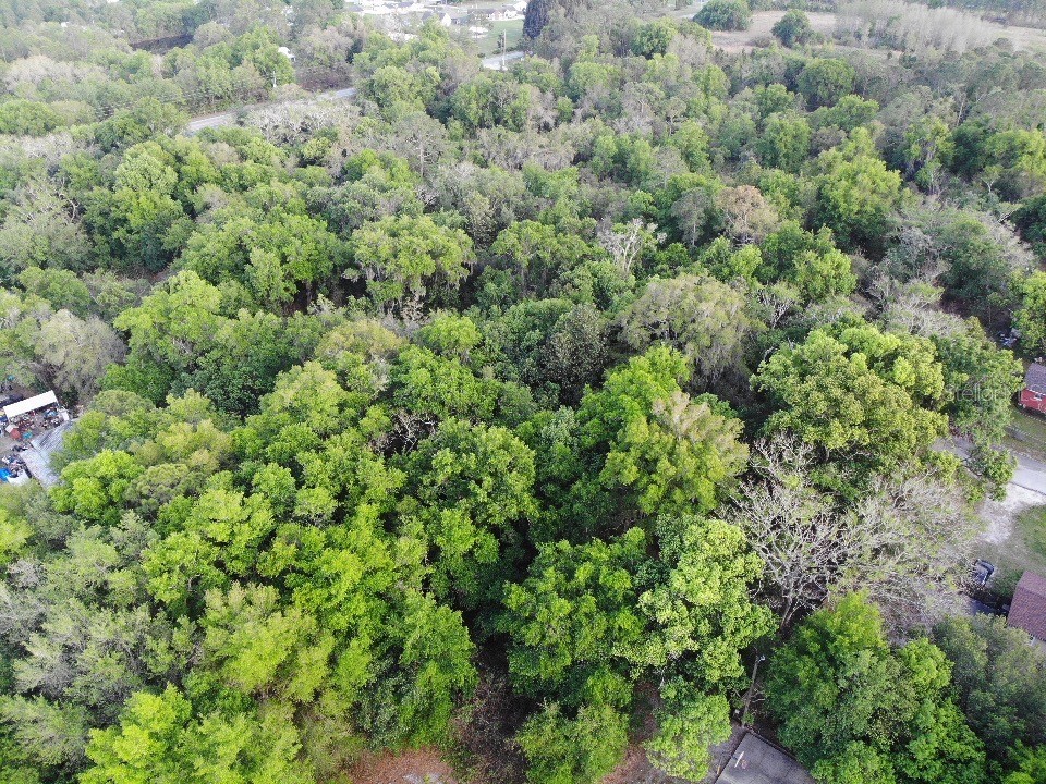 2156 Old Hickory Tree Road Saint Cloud FL 34772 S5146914 image1