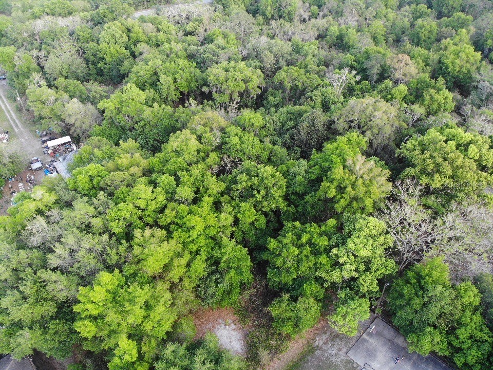 2156 Old Hickory Tree Road Saint Cloud FL 34772 S5146914 image2
