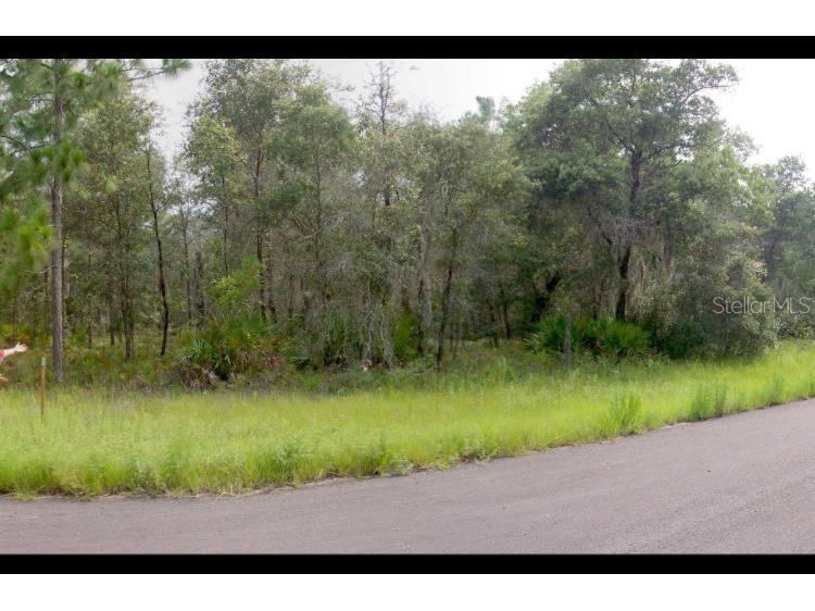 2156 W Deerfield Lane Dunnellon FL 34434 T3553041 image1