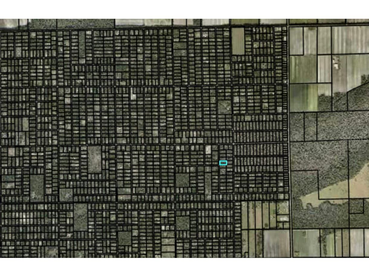 2157 Grove Street Bunnell FL 32110 FC317698 image2