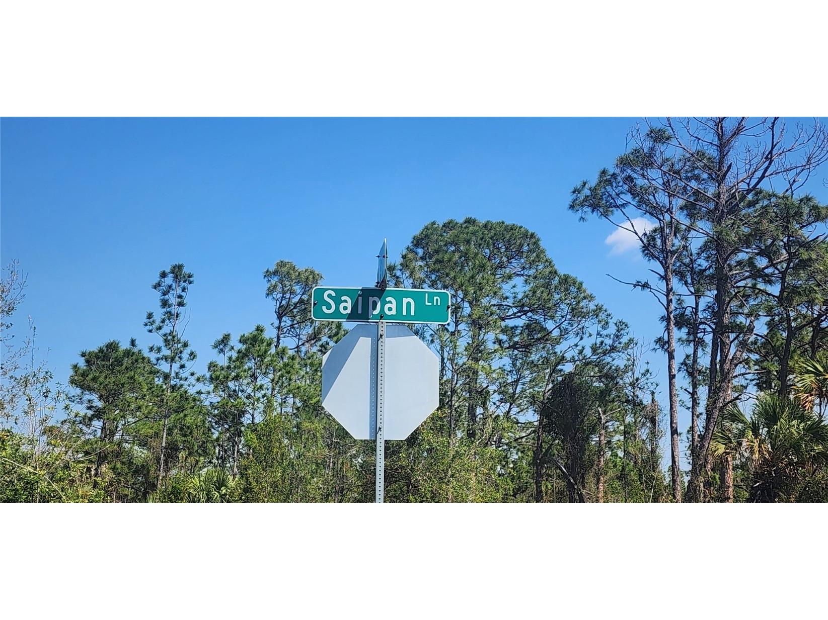 2157 Saipan Lane Port Charlotte FL 33953 D6140994 image3