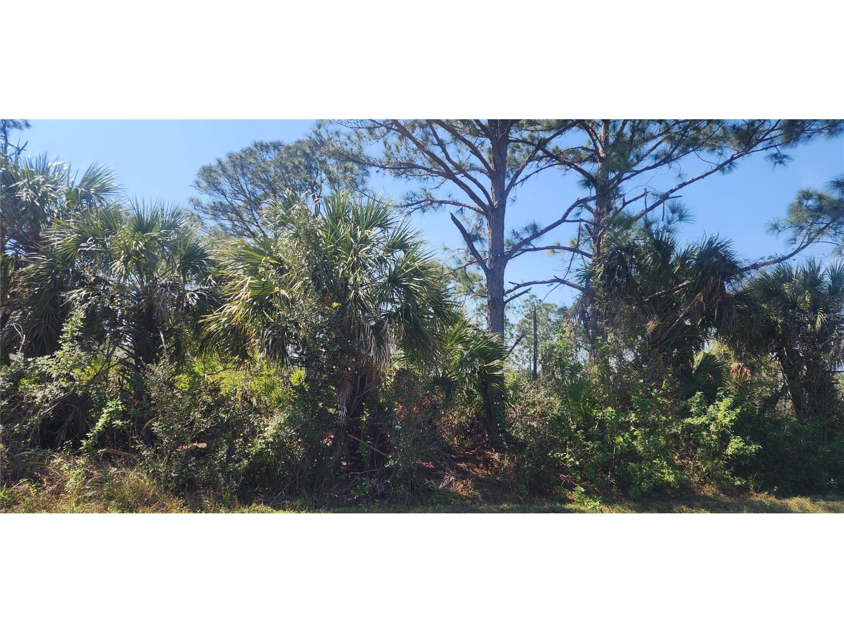 2157 Saipan Lane Port Charlotte FL 33953 D6140994 image5