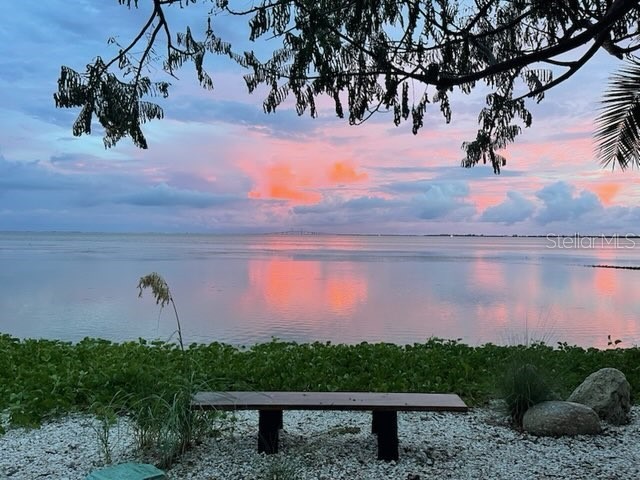 2158 Blossom Way S Saint Petersburg FL 33712 TB8445146 image1