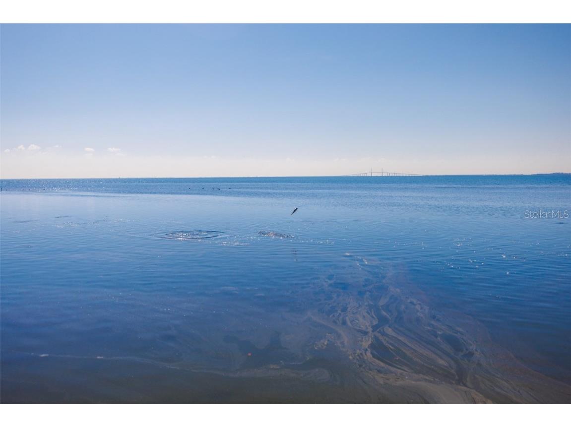 2158 Blossom Way S Saint Petersburg FL 33712 TB8445146 image3